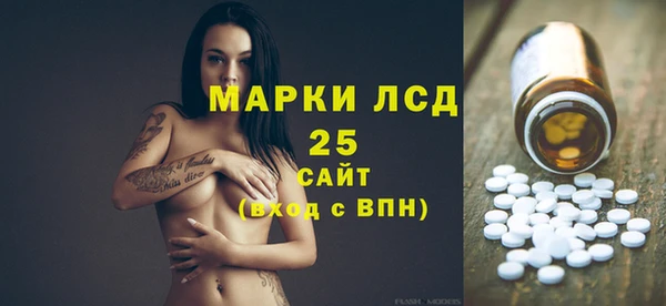 молекула духа Ельня