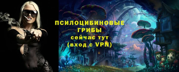 круглые Алексеевка