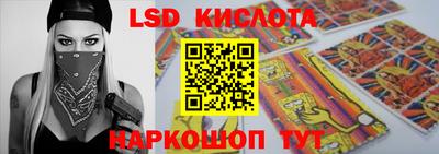 ГАЛЛЮЦИНОГЕННЫЕ ГРИБЫ Кандалакша