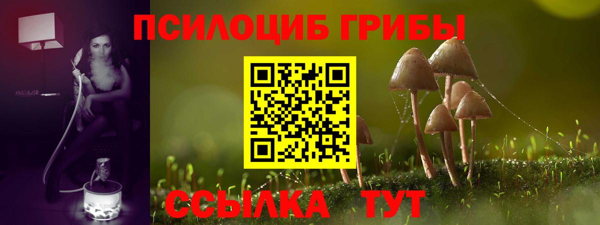 сколько стоит  Вход с VPN  Санкт-Петербург  Псилоцибиновые грибы прущие грибы  Псилоцибиновые грибы ЛСД 